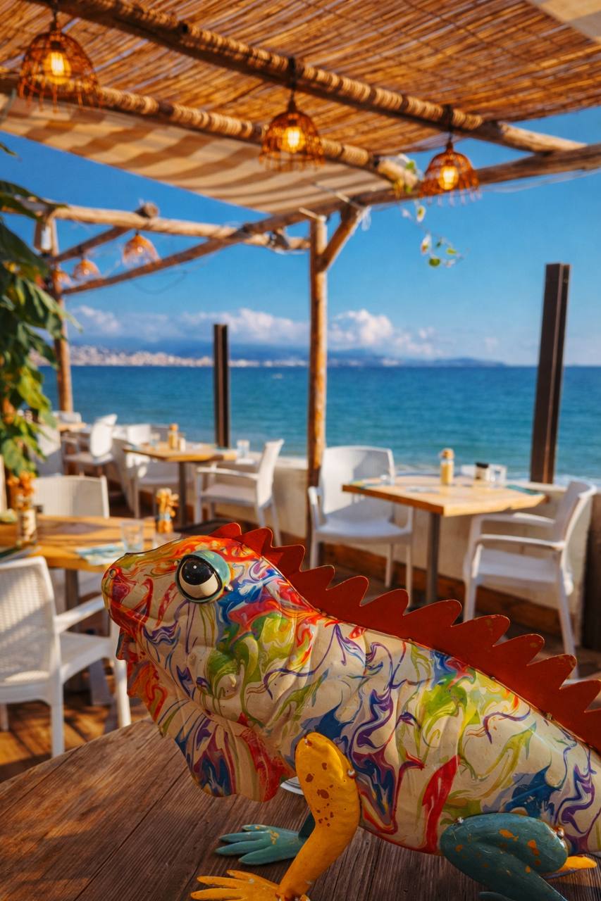 Ambiance tropicale et décoration colorée